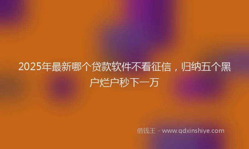 2025年最新哪个贷款软件不看征信，归纳五个黑户烂户秒下一万