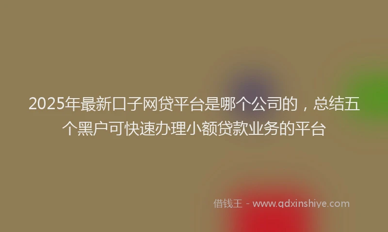 2025年最新口子网贷平台是哪个公司的，总结五个黑户可快速办理小额贷款业务的平台