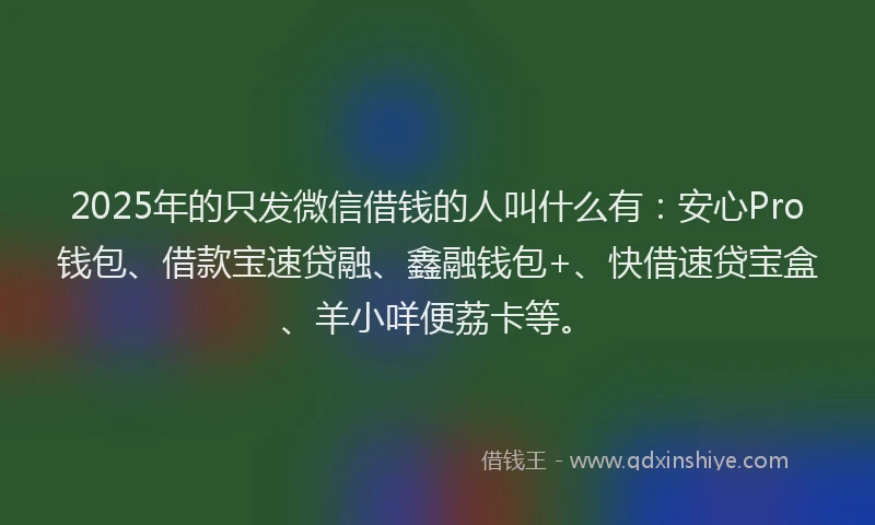 2025年的只发微信借钱的人叫什么有：安心Pro钱包、借款宝速贷融、鑫融钱包+、快借速贷宝盒、羊小咩便荔卡等。