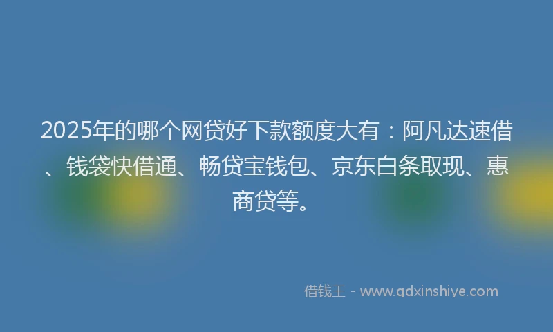 2025年的哪个网贷好下款额度大有：阿凡达速借、钱袋快借通、畅贷宝钱包、京东白条取现、惠商贷等。