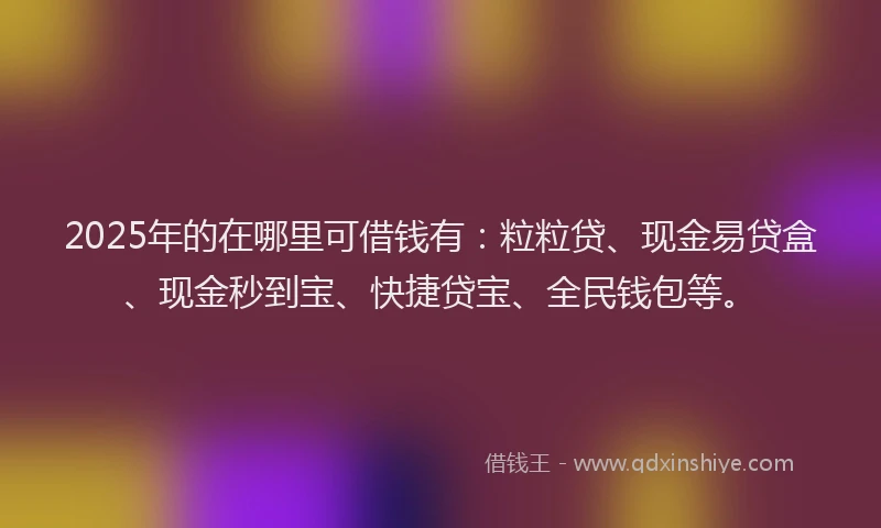 2025年的在哪里可借钱有：粒粒贷、现金易贷盒、现金秒到宝、快捷贷宝、全民钱包等。
