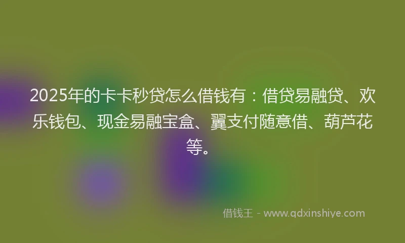 2025年的卡卡秒贷怎么借钱有：借贷易融贷、欢乐钱包、现金易融宝盒、翼支付随意借、葫芦花等。