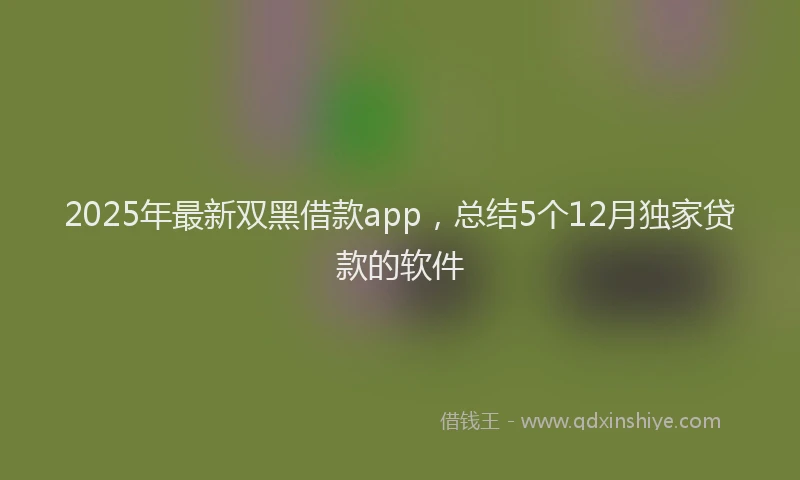 2025年最新双黑借款app，总结5个12月独家贷款的软件