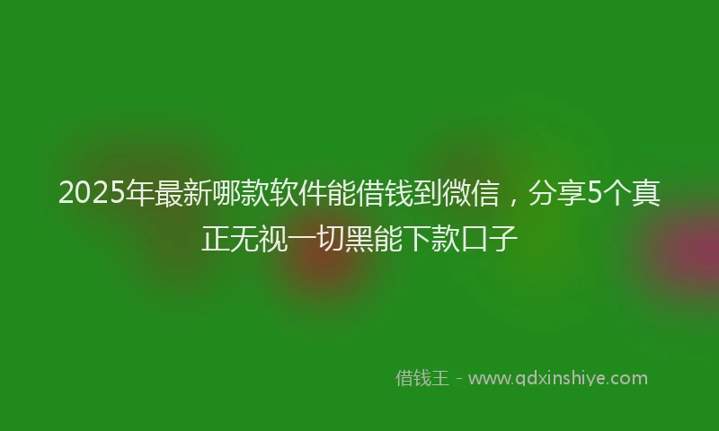 2025年最新哪款软件能借钱到微信，分享5个真正无视一切黑能下款口子