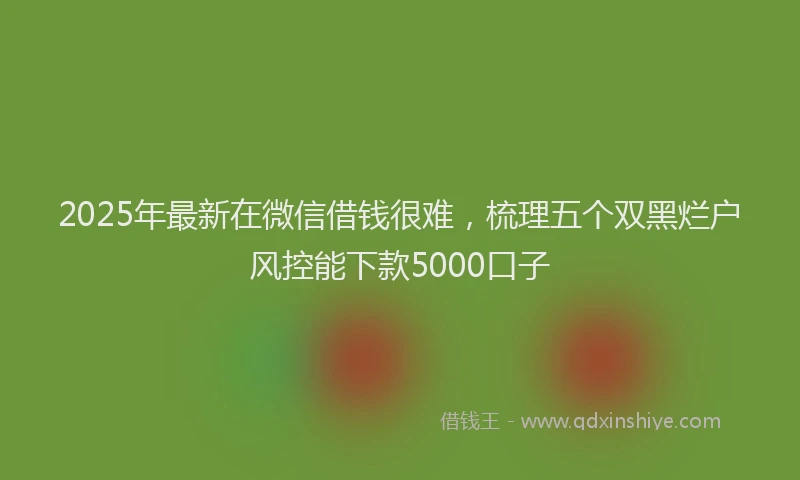 2025年最新在微信借钱很难，梳理五个双黑烂户风控能下款5000口子