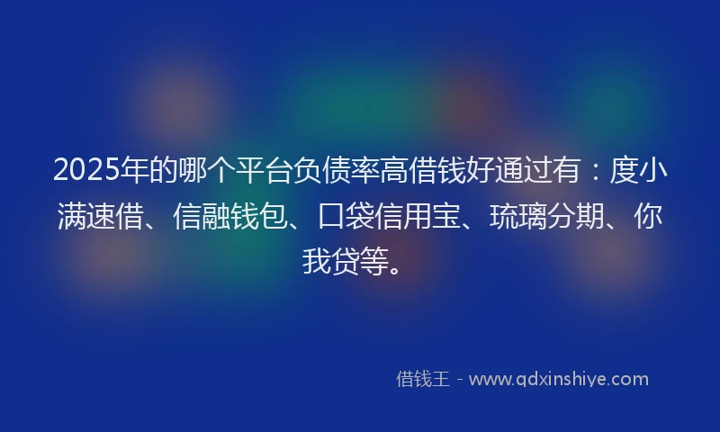 2025年的哪个平台负债率高借钱好通过有：度小满速借、信融钱包、口袋信用宝、琉璃分期、你我贷等。