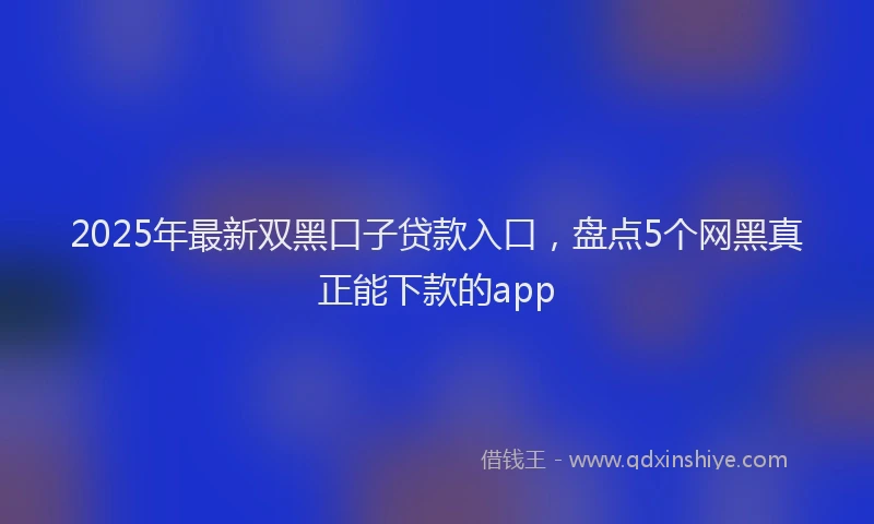 2025年最新双黑口子贷款入口，盘点5个网黑真正能下款的app