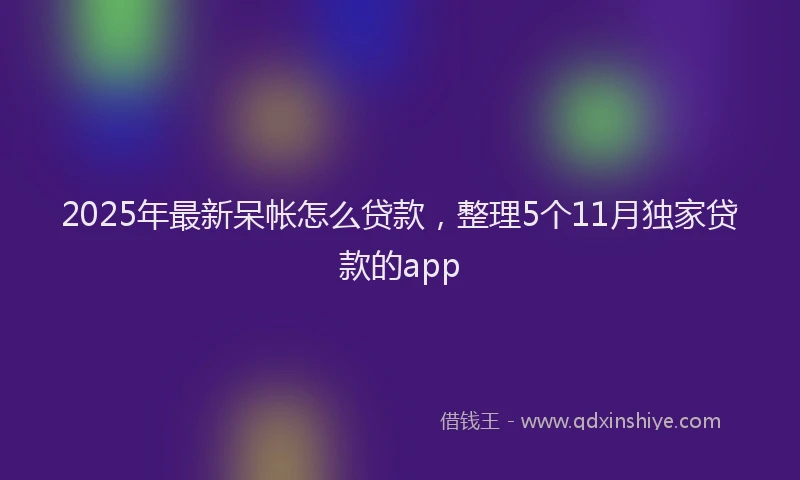 2025年最新呆帐怎么贷款，整理5个11月独家贷款的app