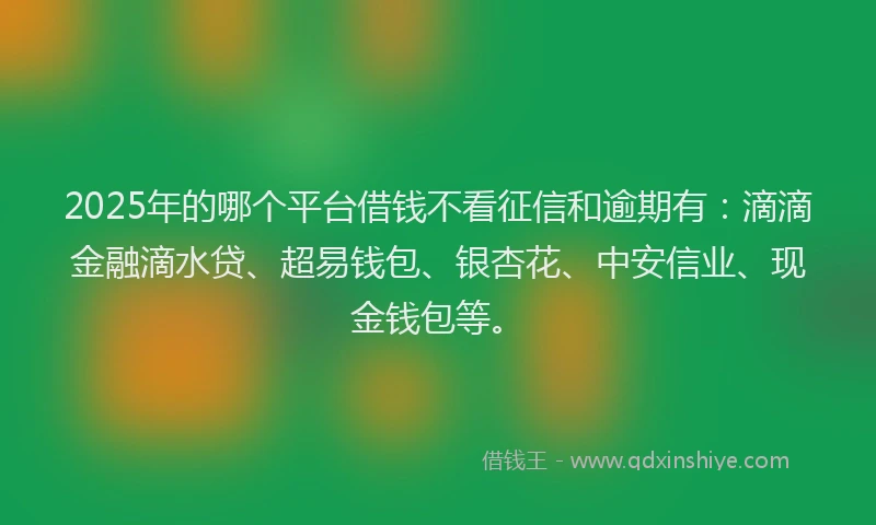 2025年的哪个平台借钱不看征信和逾期有：滴滴金融滴水贷、超易钱包、银杏花、中安信业、现金钱包等。