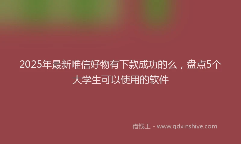 2025年最新唯信好物有下款成功的么，盘点5个大学生可以使用的软件