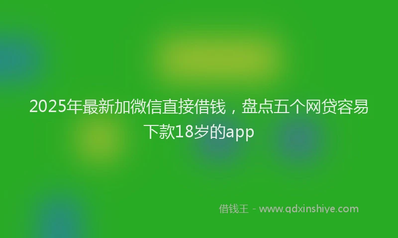 2025年最新加微信直接借钱，盘点五个网贷容易下款18岁的app