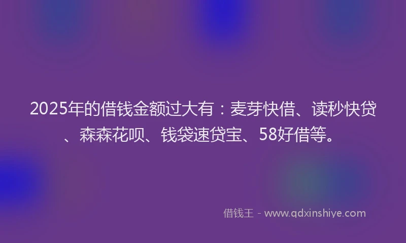 2025年的借钱金额过大有：麦芽快借、读秒快贷、森森花呗、钱袋速贷宝、58好借等。