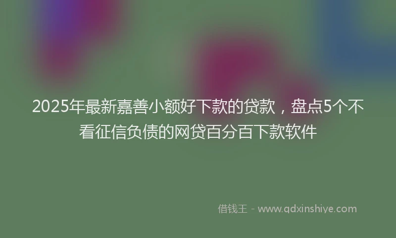 2025年最新嘉善小额好下款的贷款，盘点5个不看征信负债的网贷百分百下款软件