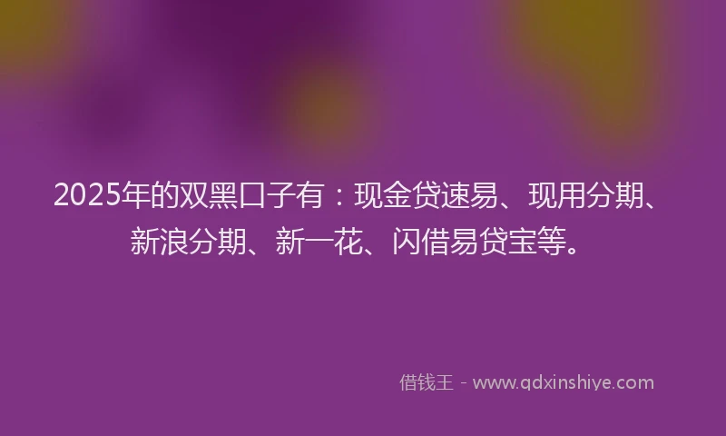 2025年的双黑口子有：现金贷速易、现用分期、新浪分期、新一花、闪借易贷宝等。