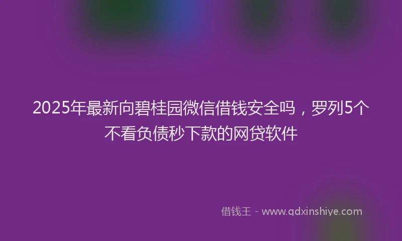 2025年最新向碧桂园微信借钱安全吗，罗列5个不看负债秒下款的网贷软件