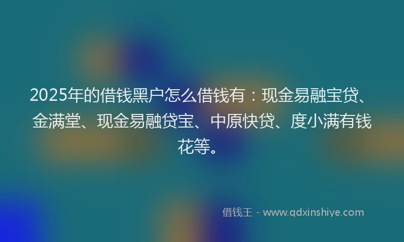 2025年的借钱黑户怎么借钱有：现金易融宝贷、金满堂、现金易融贷宝、中原快贷、度小满有钱花等。