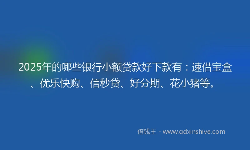 2025年的哪些银行小额贷款好下款有：速借宝盒、优乐快购、信秒贷、好分期、花小猪等。