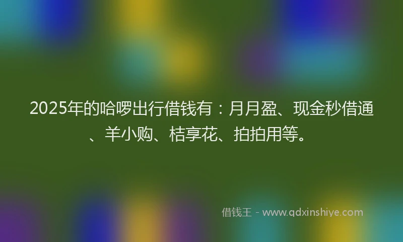 2025年的哈啰出行借钱有：月月盈、现金秒借通、羊小购、桔享花、拍拍用等。