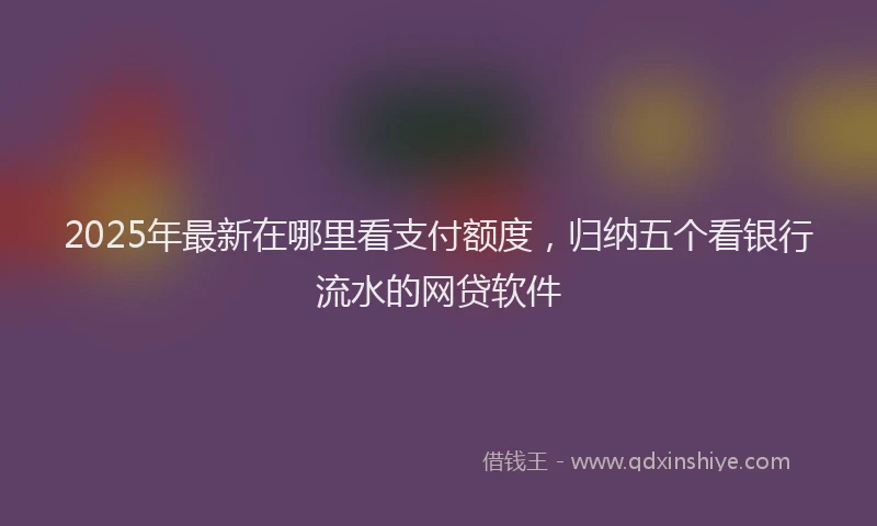 2025年最新在哪里看支付额度，归纳五个看银行流水的网贷软件