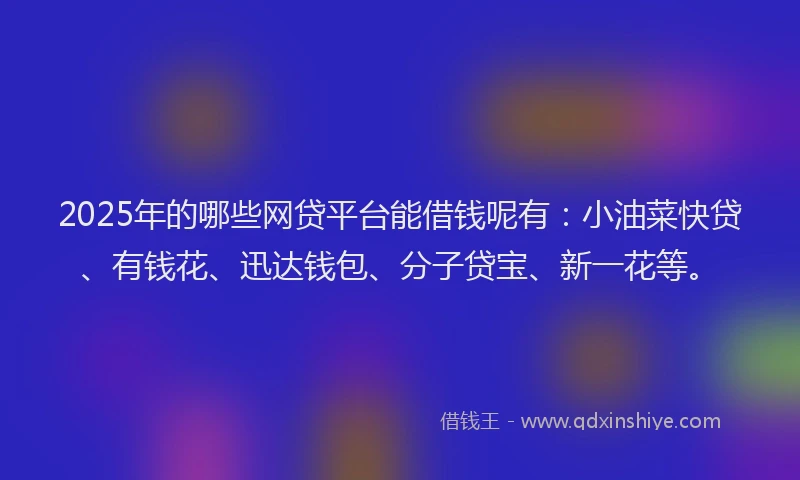 2025年的哪些网贷平台能借钱呢有：小油菜快贷、有钱花、迅达钱包、分子贷宝、新一花等。