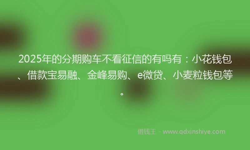 2025年的分期购车不看征信的有吗有：小花钱包、借款宝易融、金峰易购、e微贷、小麦粒钱包等。