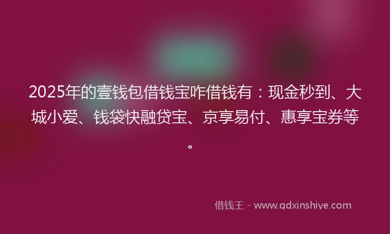 2025年的壹钱包借钱宝咋借钱有：现金秒到、大城小爱、钱袋快融贷宝、京享易付、惠享宝券等。