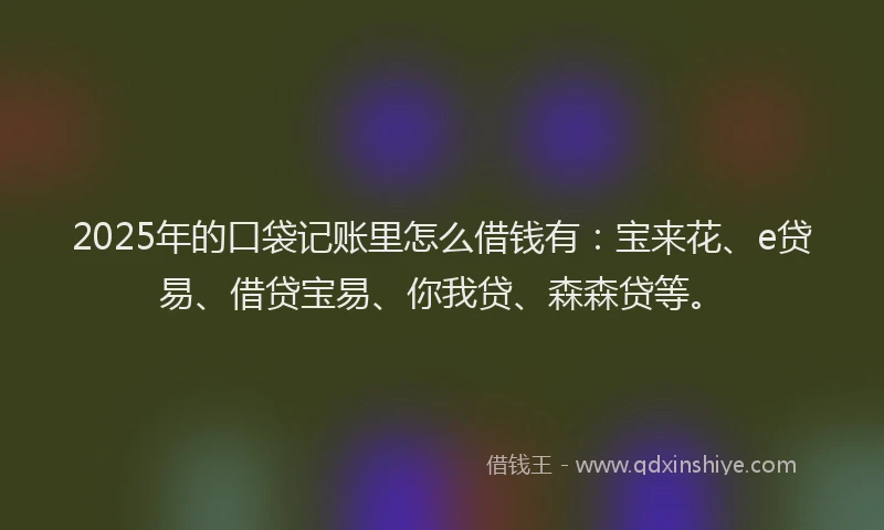 2025年的口袋记账里怎么借钱有：宝来花、e贷易、借贷宝易、你我贷、森森贷等。