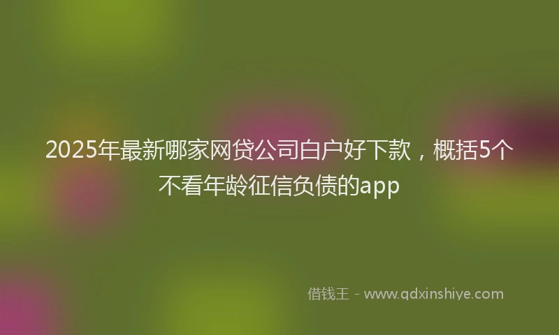 2025年最新哪家网贷公司白户好下款，概括5个不看年龄征信负债的app