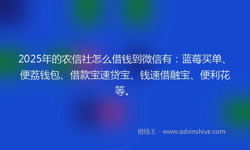 2025年的农信社怎么借钱到微信有：蓝莓买单、便荔钱包、借款宝速贷宝、钱速借融宝、便利花等。