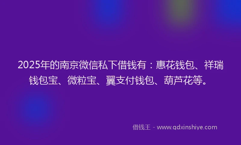 2025年的南京微信私下借钱有：惠花钱包、祥瑞钱包宝、微粒宝、翼支付钱包、葫芦花等。