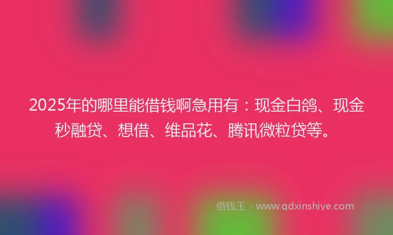 2025年的哪里能借钱啊急用有：现金白鸽、现金秒融贷、想借、维品花、腾讯微粒贷等。
