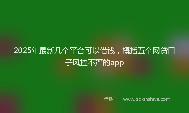 2025年最新几个平台可以借钱，概括五个网贷口子风控不严的app
