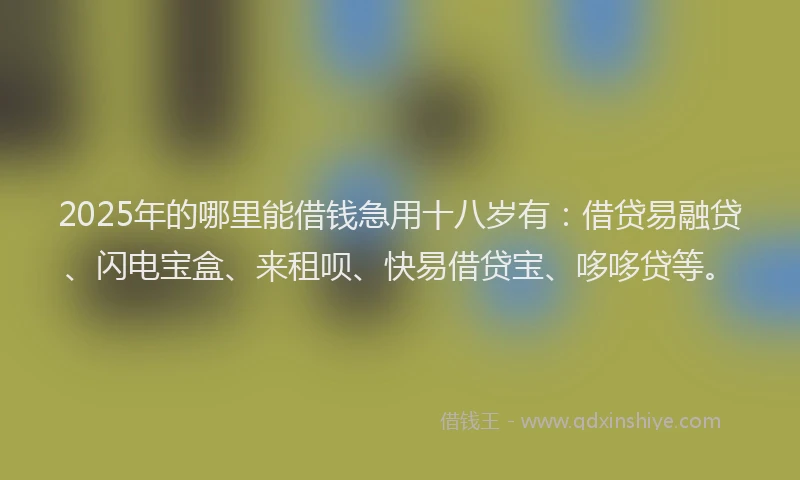 2025年的哪里能借钱急用十八岁有：借贷易融贷、闪电宝盒、来租呗、快易借贷宝、哆哆贷等。