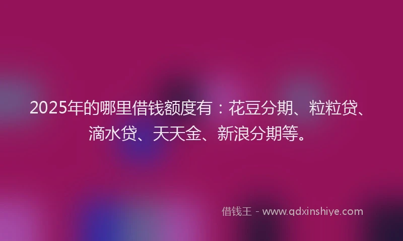2025年的哪里借钱额度有：花豆分期、粒粒贷、滴水贷、天天金、新浪分期等。