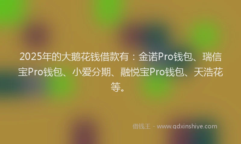 2025年的大鹅花钱借款有：金诺Pro钱包、瑞信宝Pro钱包、小爱分期、融悦宝Pro钱包、天浩花等。