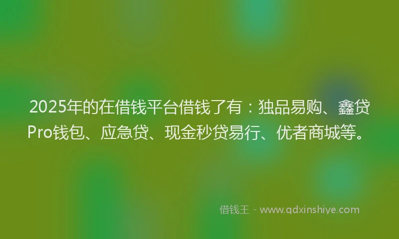 2025年的在借钱平台借钱了有：独品易购、鑫贷Pro钱包、应急贷、现金秒贷易行、优者商城等。