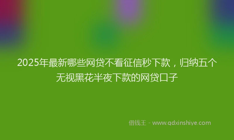 2025年最新哪些网贷不看征信秒下款，归纳五个无视黑花半夜下款的网贷口子