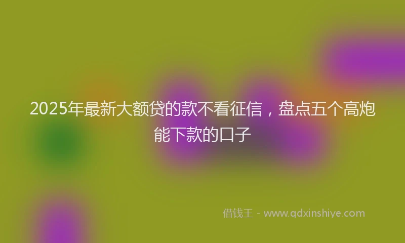 2025年最新大额贷的款不看征信，盘点五个高炮能下款的口子