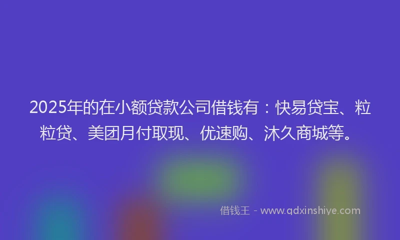 2025年的在小额贷款公司借钱有：快易贷宝、粒粒贷、美团月付取现、优速购、沐久商城等。