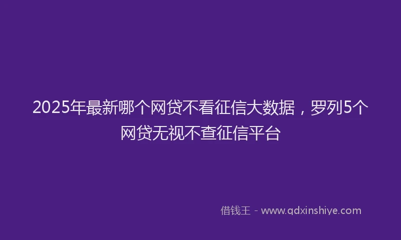 2025年最新哪个网贷不看征信大数据，罗列5个网贷无视不查征信平台