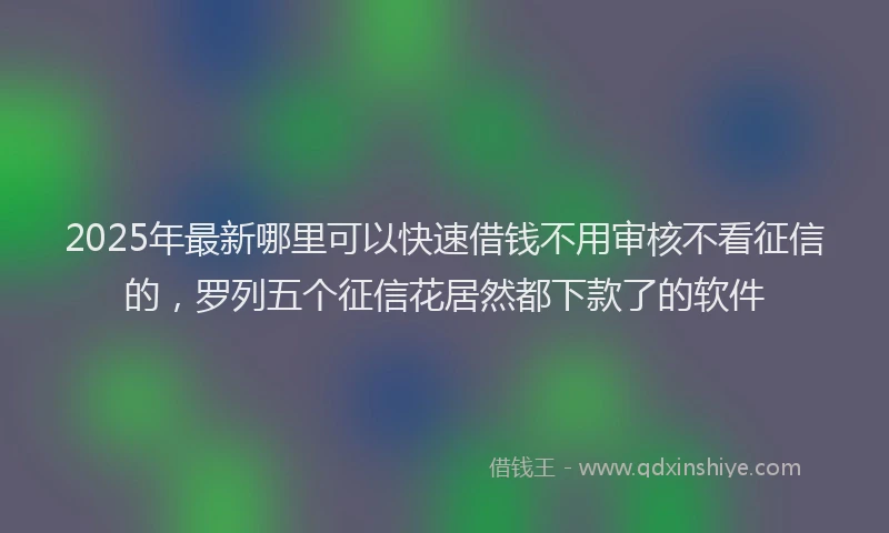 2025年最新哪里可以快速借钱不用审核不看征信的，罗列五个征信花居然都下款了的软件