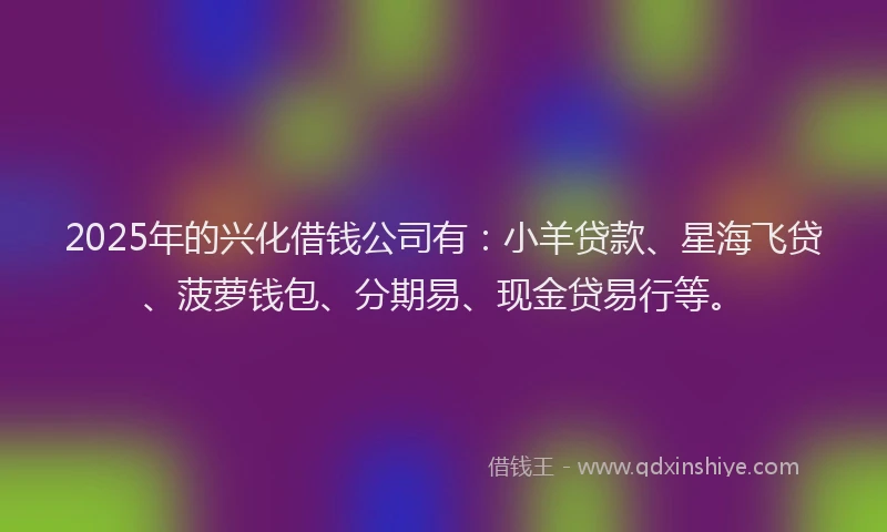 2025年的兴化借钱公司有：小羊贷款、星海飞贷、菠萝钱包、分期易、现金贷易行等。