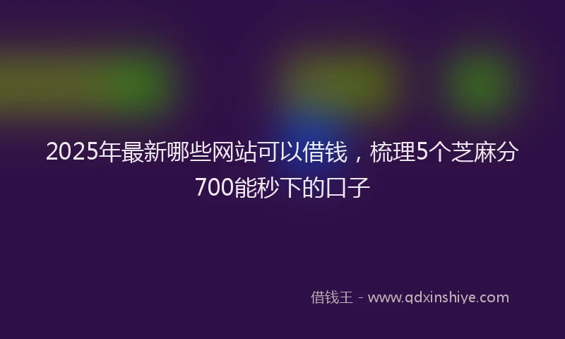 2025年最新哪些网站可以借钱，梳理5个芝麻分700能秒下的口子