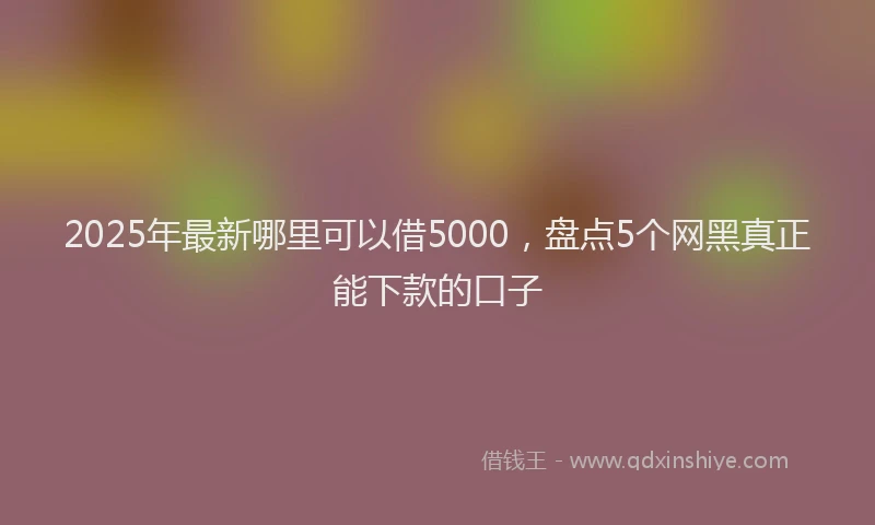 2025年最新哪里可以借5000，盘点5个网黑真正能下款的口子