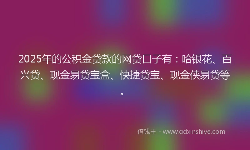 2025年的公积金贷款的网贷口子有：哈银花、百兴贷、现金易贷宝盒、快捷贷宝、现金侠易贷等。