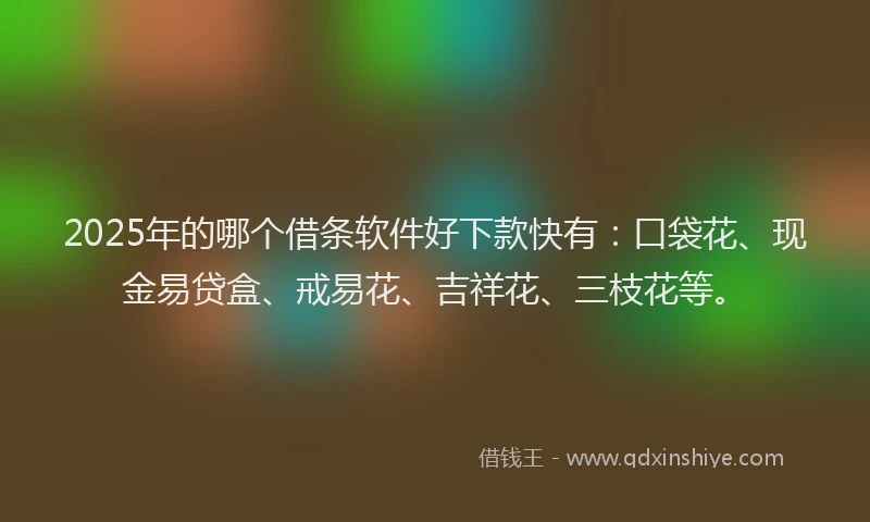 2025年的哪个借条软件好下款快有：口袋花、现金易贷盒、戒易花、吉祥花、三枝花等。