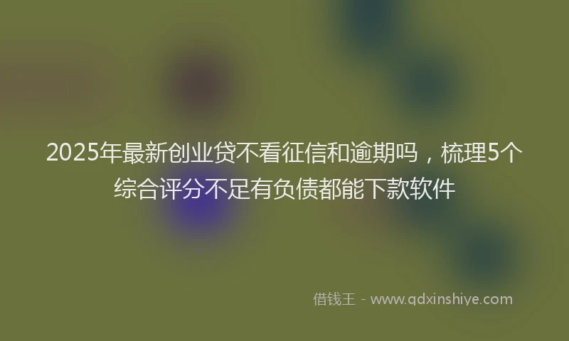 2025年最新创业贷不看征信和逾期吗，梳理5个综合评分不足有负债都能下款软件