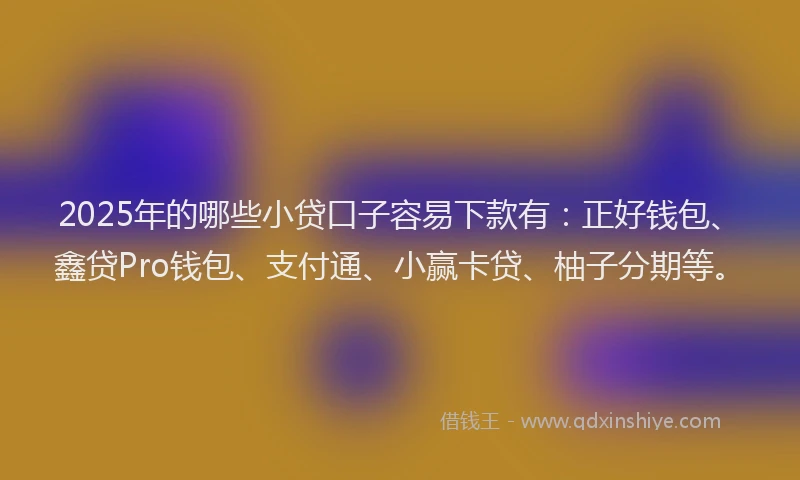 2025年的哪些小贷口子容易下款有：正好钱包、鑫贷Pro钱包、支付通、小赢卡贷、柚子分期等。