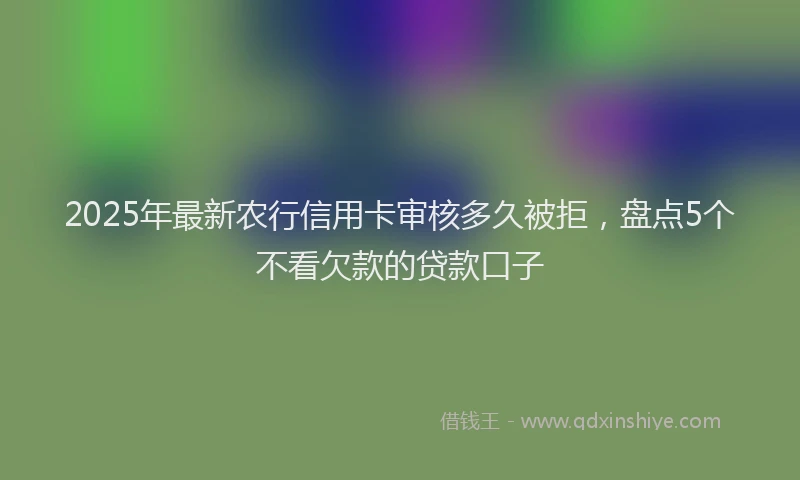 2025年最新农行信用卡审核多久被拒，盘点5个不看欠款的贷款口子