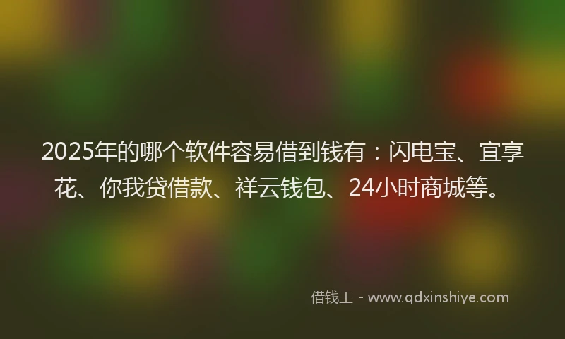 2025年的哪个软件容易借到钱有：闪电宝、宜享花、你我贷借款、祥云钱包、24小时商城等。